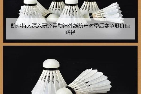 凯尔特人深入研究霍勒迪外线防守对季后赛争冠价值路径